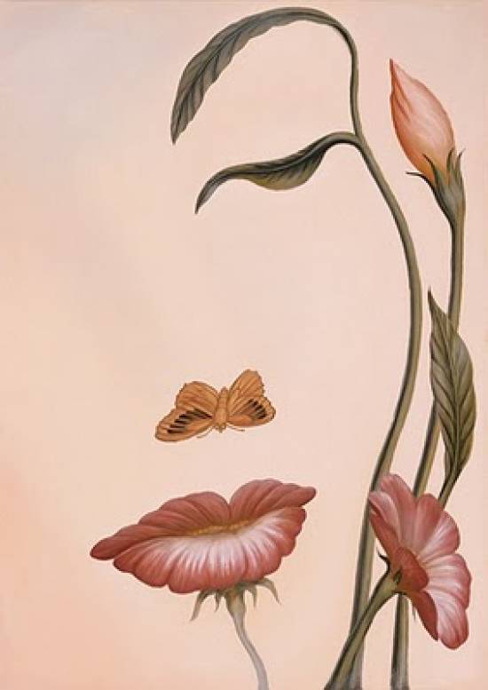 art of illusion art of illusion