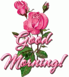 Good Morning GIF Image Good Morning GIF Image