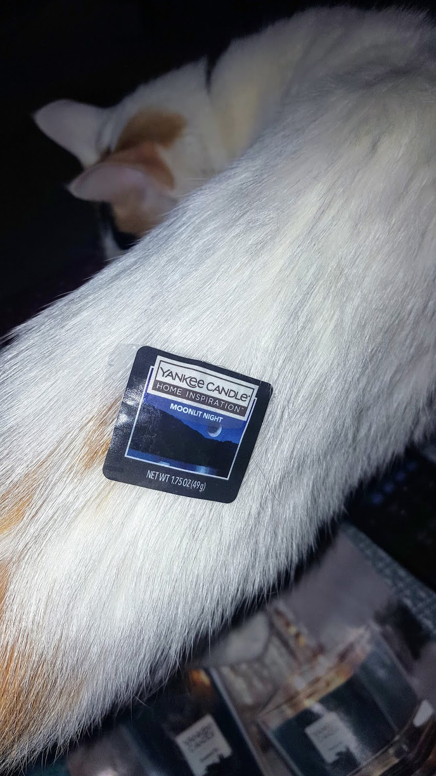 Smell This Yankee Candle Home Inspiration Moonlit Night