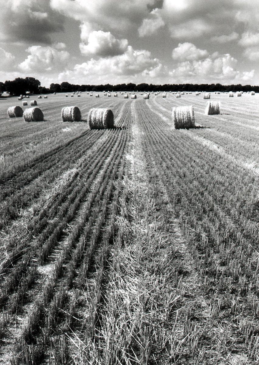 СМИ: смертность в Саратовской области превысила рождаемость в 3,5 раза Естествен
