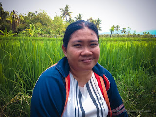 Woman Traveler Sit Unwind In The Warm Atmosphere Of The Rice Field On A Sunny Day At Ringdikit Village North Bali Indonesia