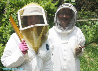 beekeeper suits 