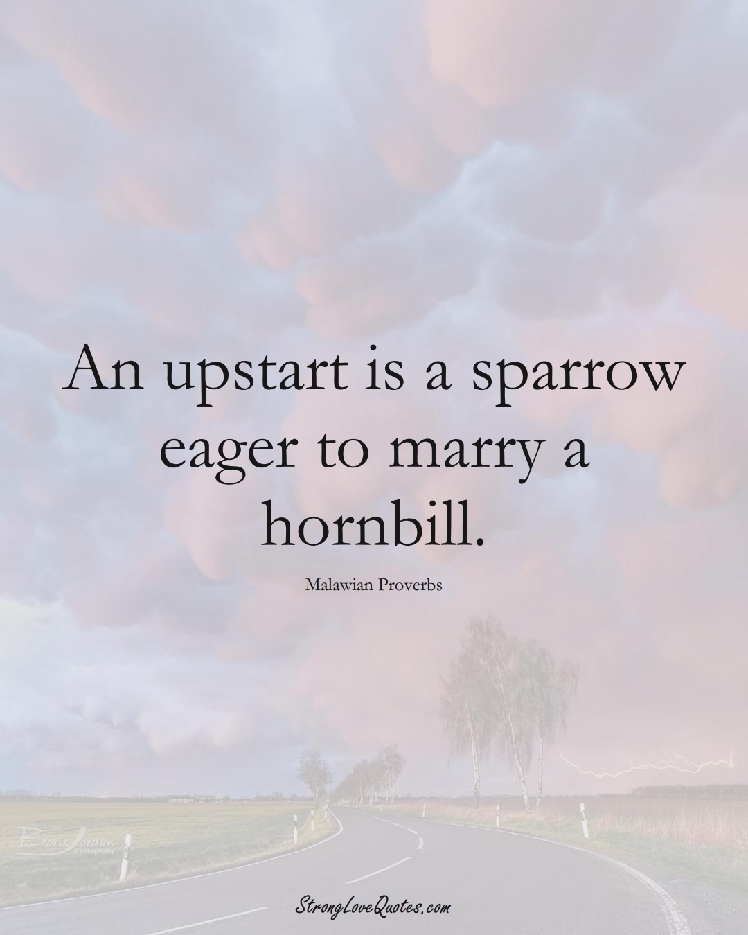 An upstart is a sparrow eager to marry a hornbill. (Malawian Sayings);  #AfricanSayings