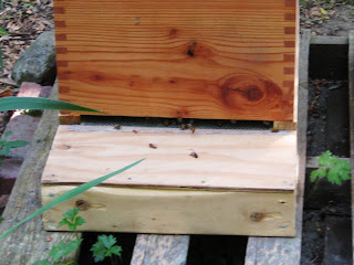 Strathcona Beekeepers: Homemade Beehive