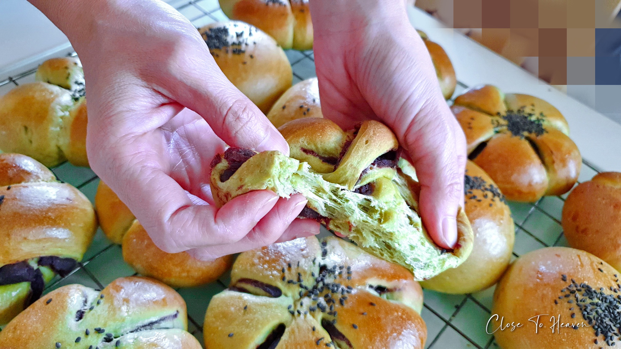 Green tea buns with red bean filling ขนมปังชาเขียวไส้ถั่วแดง