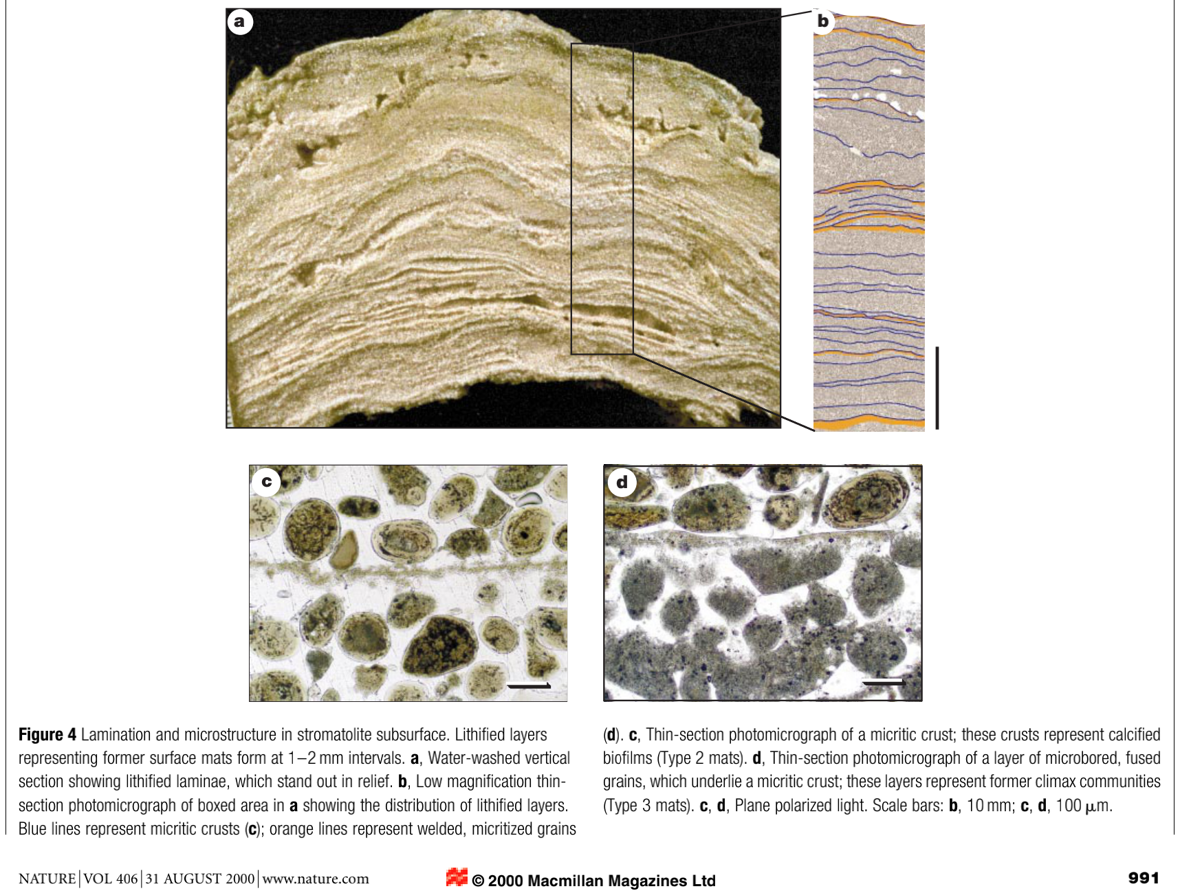 dating sites live video