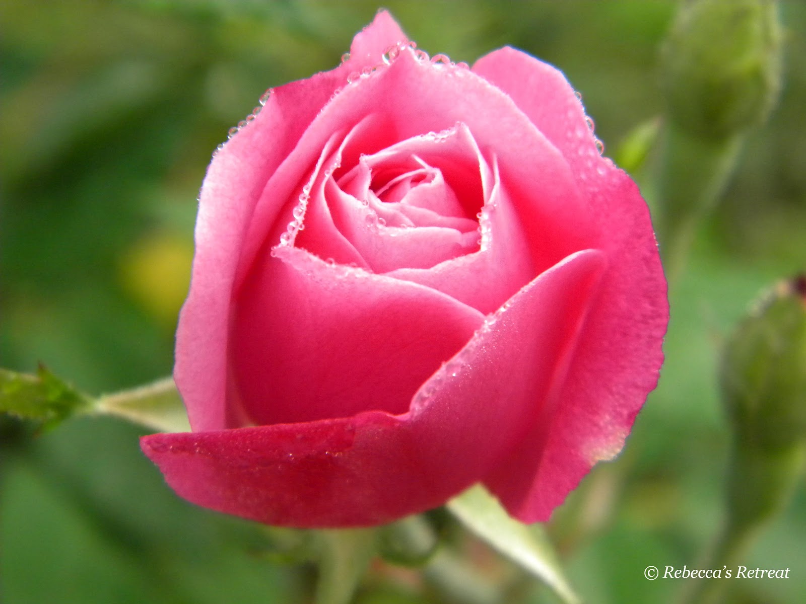 √ Wallpaper Zildjian - wallpaper202