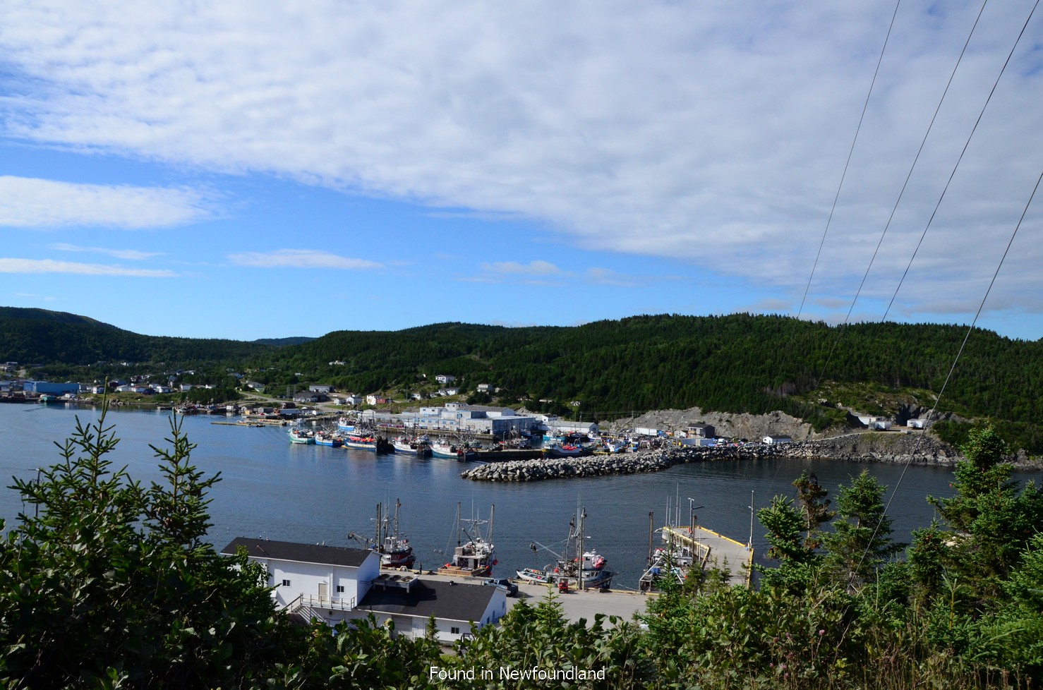 Found in Newfoundland