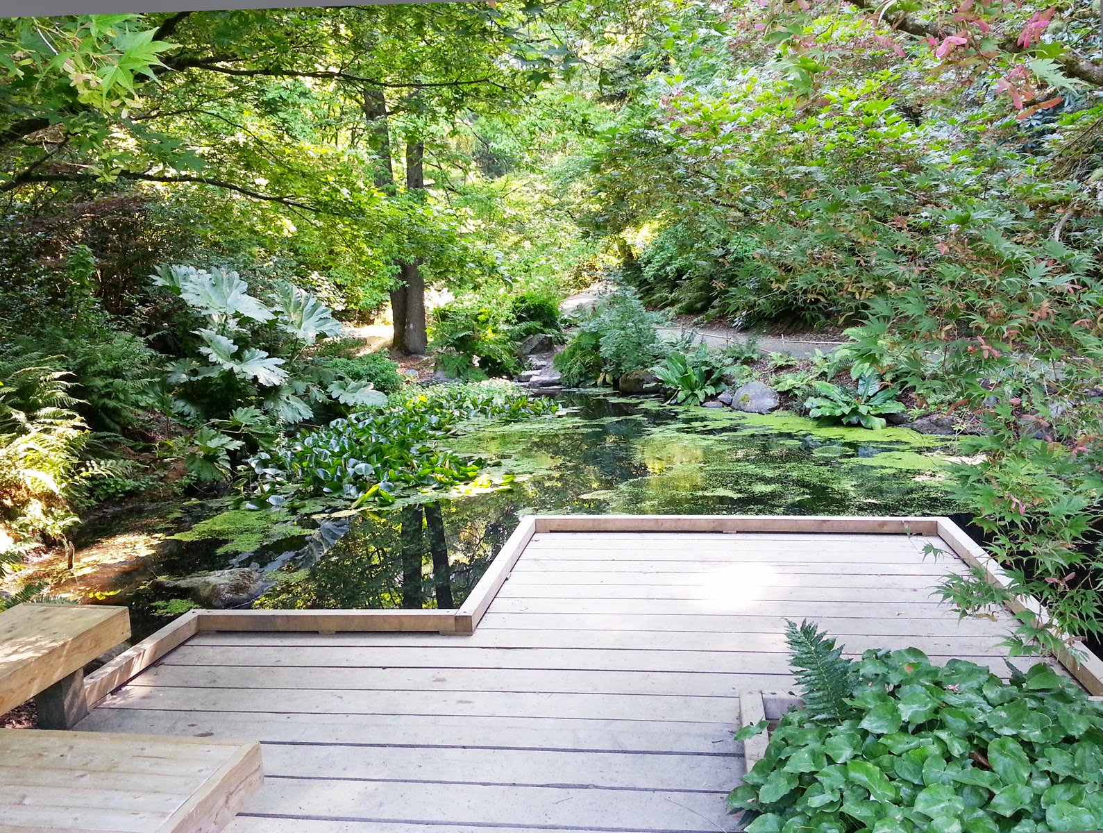 Seattle Elope weddings exactly as you wish Morning Wedding at the