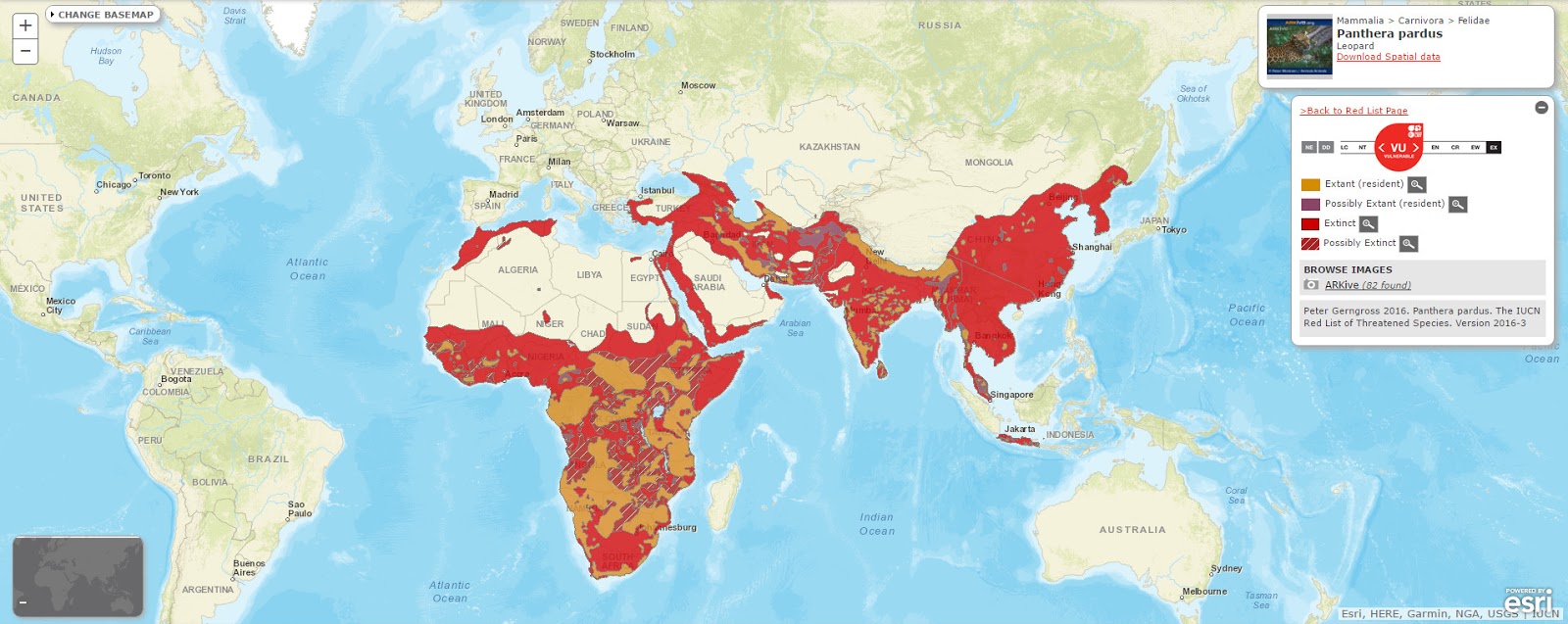 Mapping Endangered Species