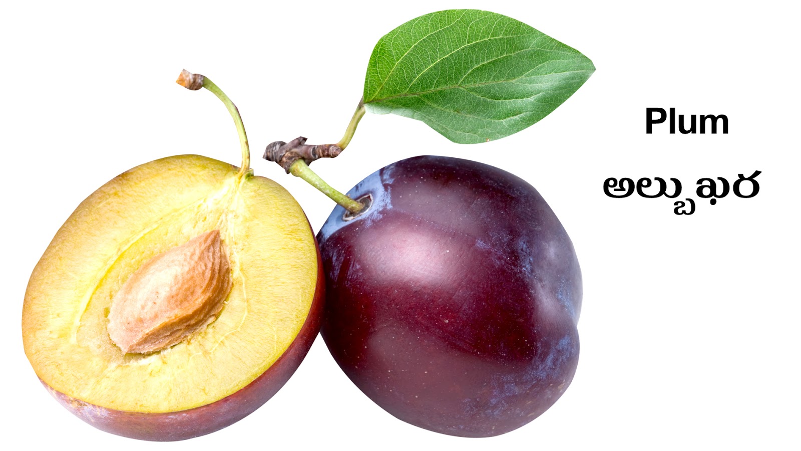 FRUITS PHALAMULU Picture Dictionary English Telugu