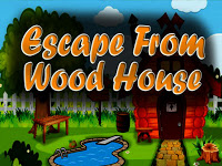  Top10NewGames - Top10 Escape From Wood House