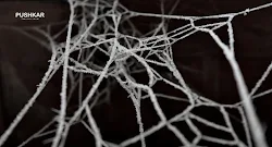 СЕТИ, РАСКИНУТЫЕ НА ПУТИ.