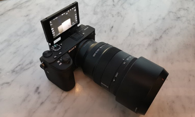 Sony: the a6100 and the top a6600 Sony: the a6100 and the top a6600