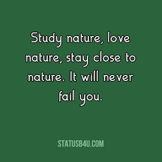 Best Nature Quotes for Instagram