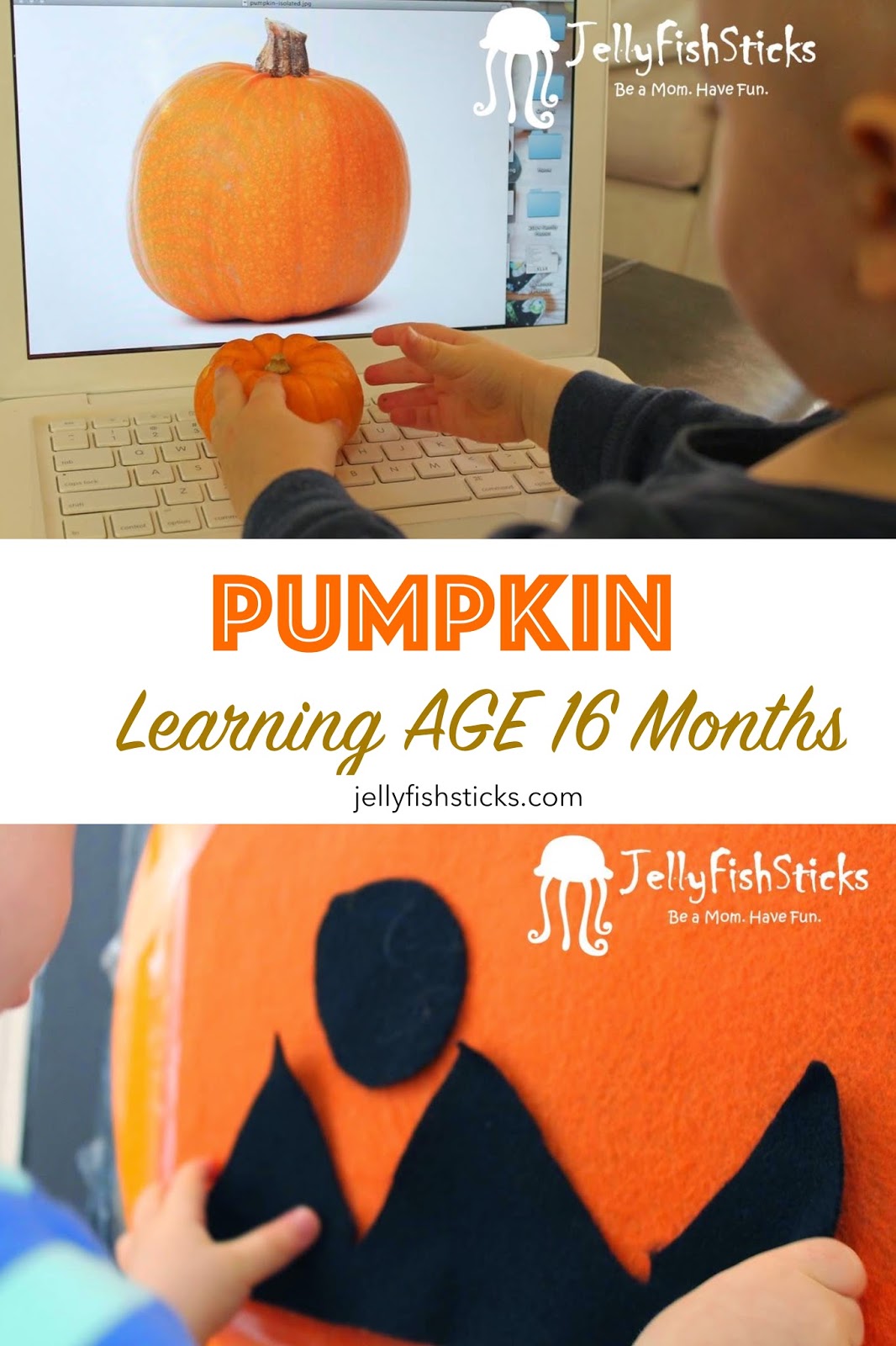 Pumpkin Learning Plan for 16 Month Olds