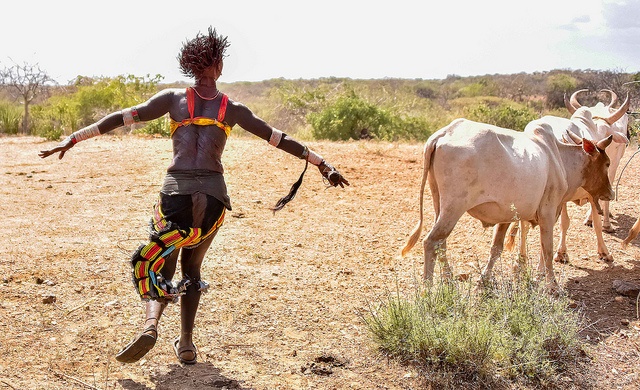 Hamar Tribe Beauty And Cattle Leaping Chic African Culture