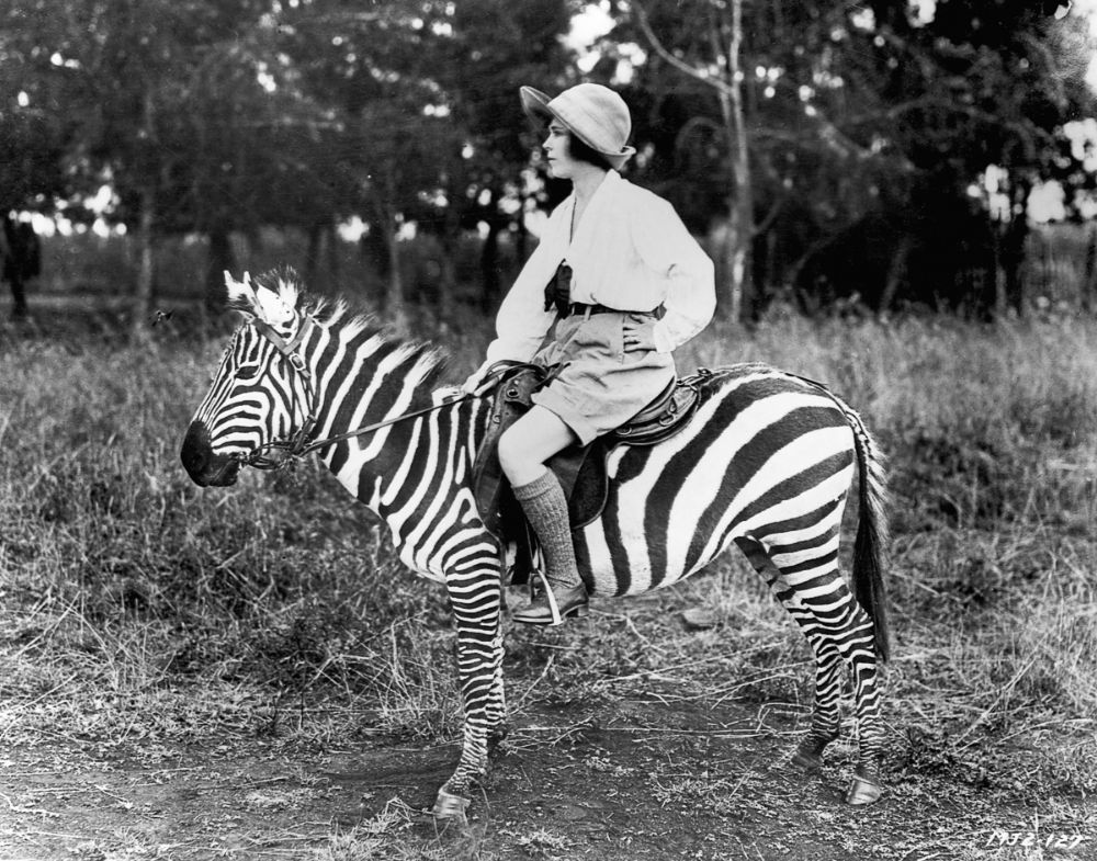 16 Vintage Photographs That Show People Riding Zebras From the Late 19th and Early 20th