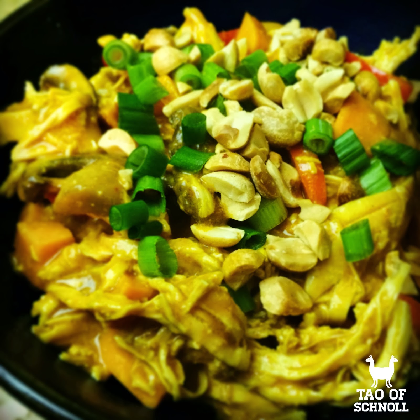 Tao of Schnoll: Thai Peanut Chicken Curry