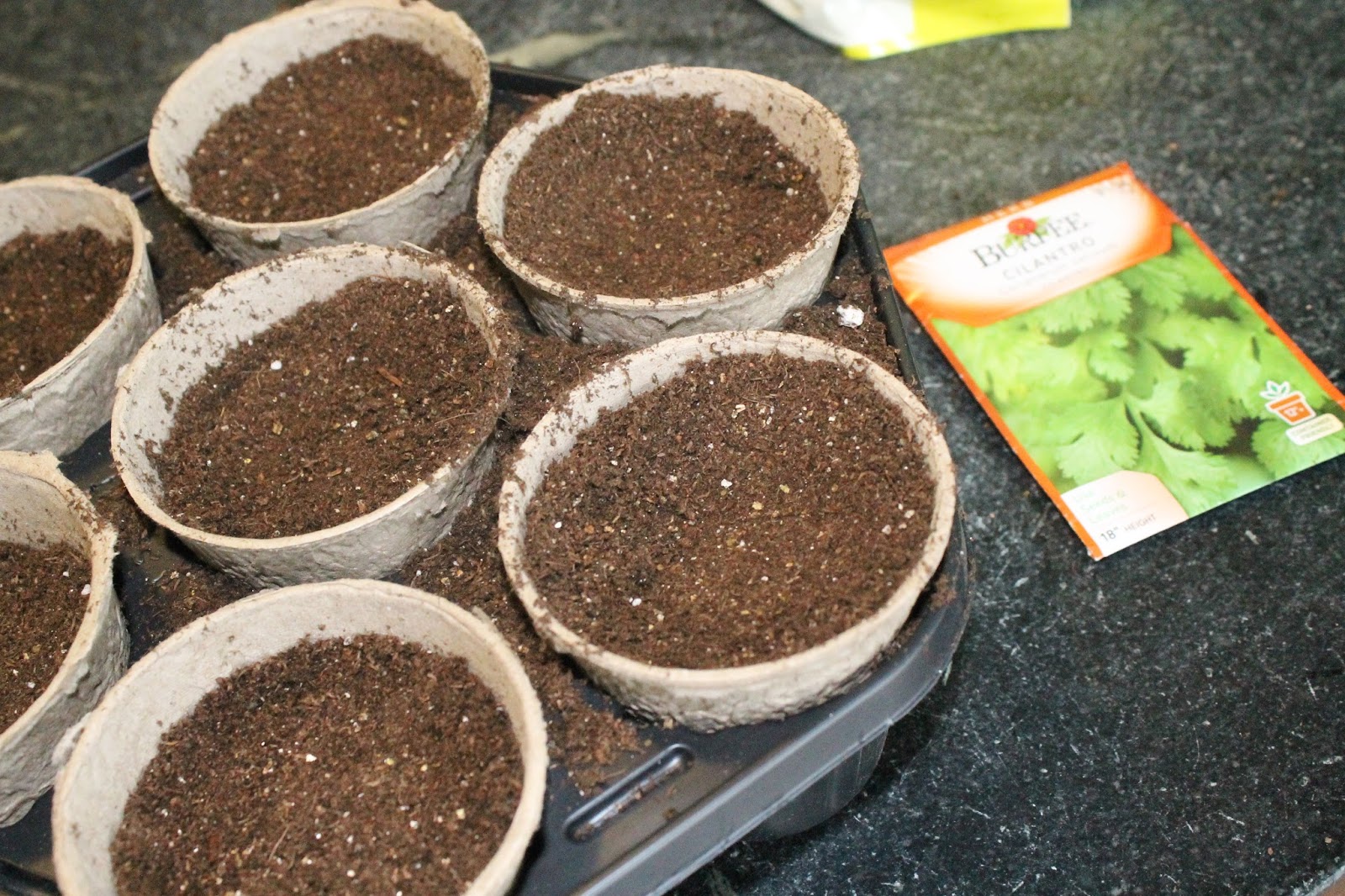 Target 'Dollar Bin' Herb Garden The Unique Nest