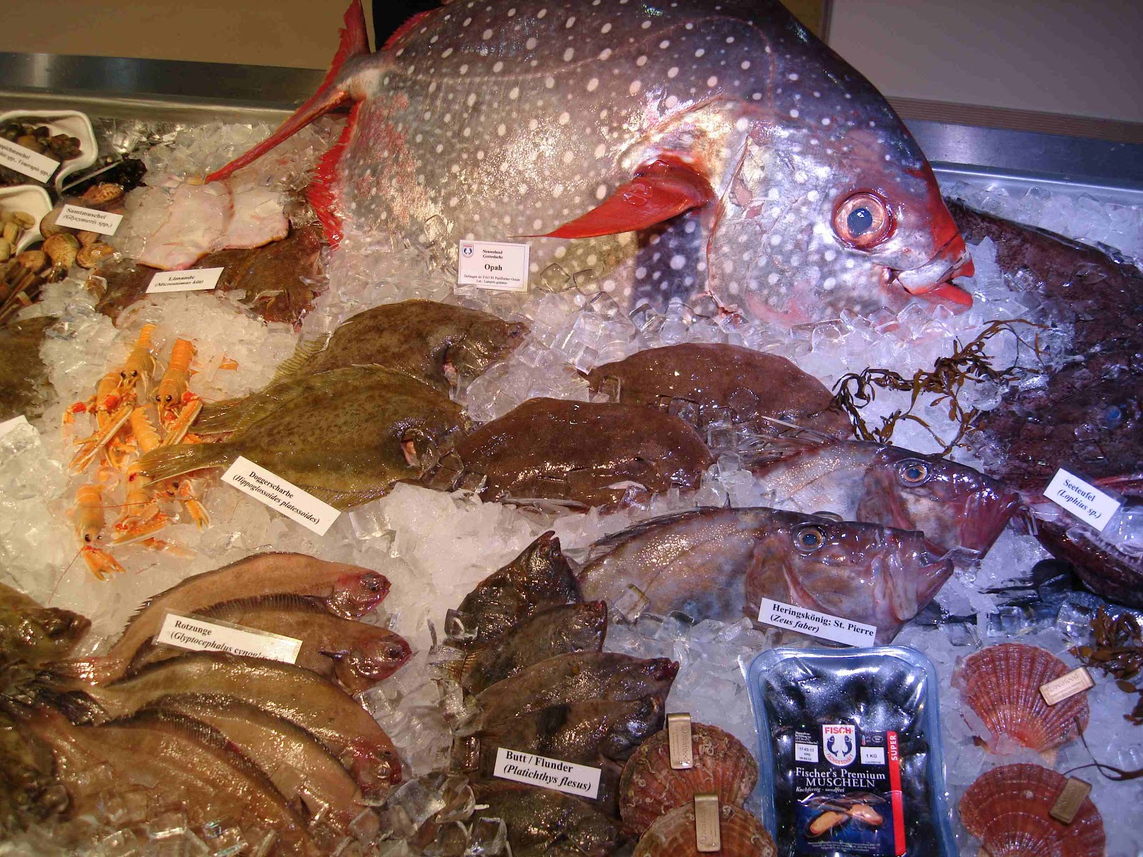 Outfit Frei Sein Andysparkles De