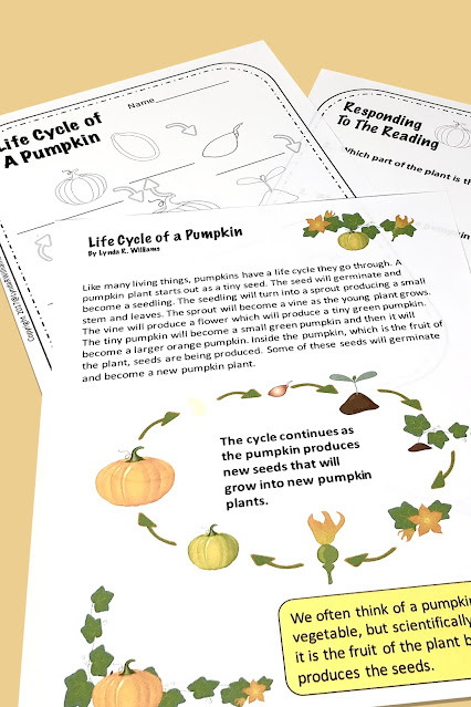 Life Cycle of a Pumpkin Reading