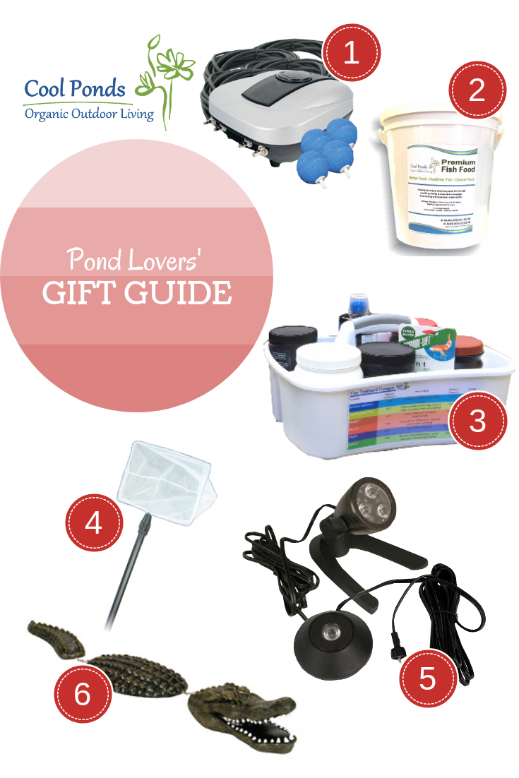 Pond Lovers' Gift Guide