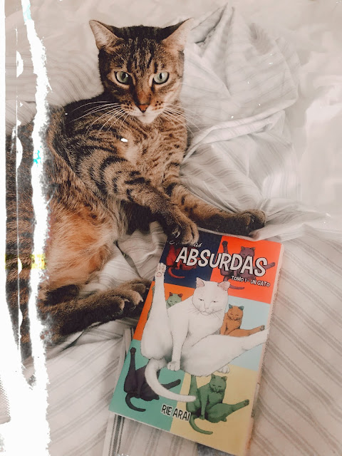 Reseña literaria Historias absurdas Tomo 1, Un gato de Rie Arai