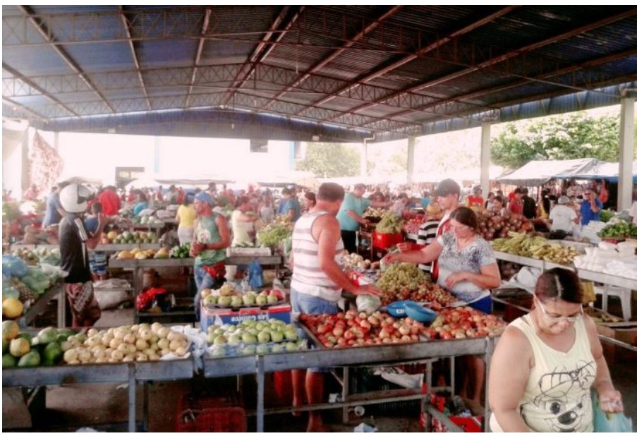 Adustina Prefeitura de Ribeira do PombalBA divulga decreto com