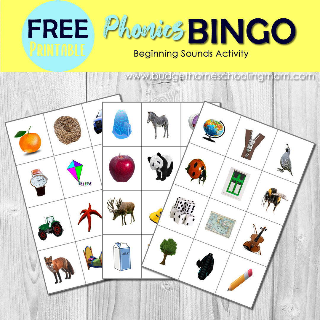 phonics-bingo-digital-and-print-growing-bundle-by-deedee-wills-photos