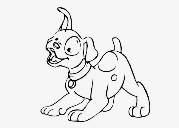 Cute Baby Pig Coloring Pages Download Bulldog Puppies Bulldogs