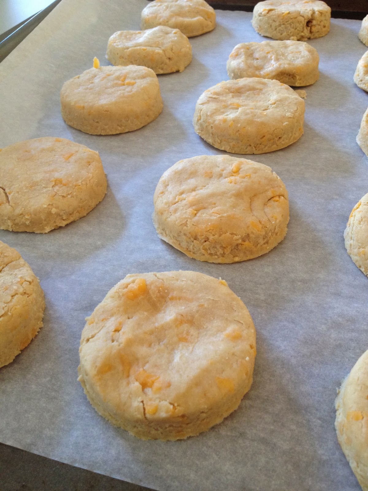 Sea Jay's Cupcakes WholeWheat Garlic Cheddar Biscuits