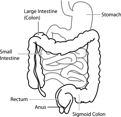 Sintomas de gastroenterite viral