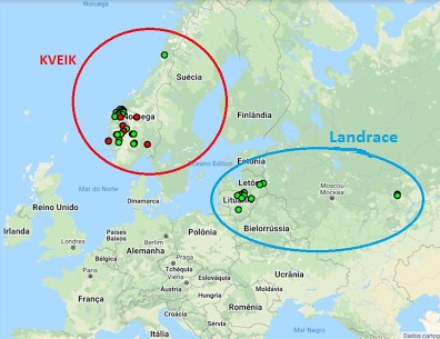 MUNDO KVEIK: Origem da Kveik