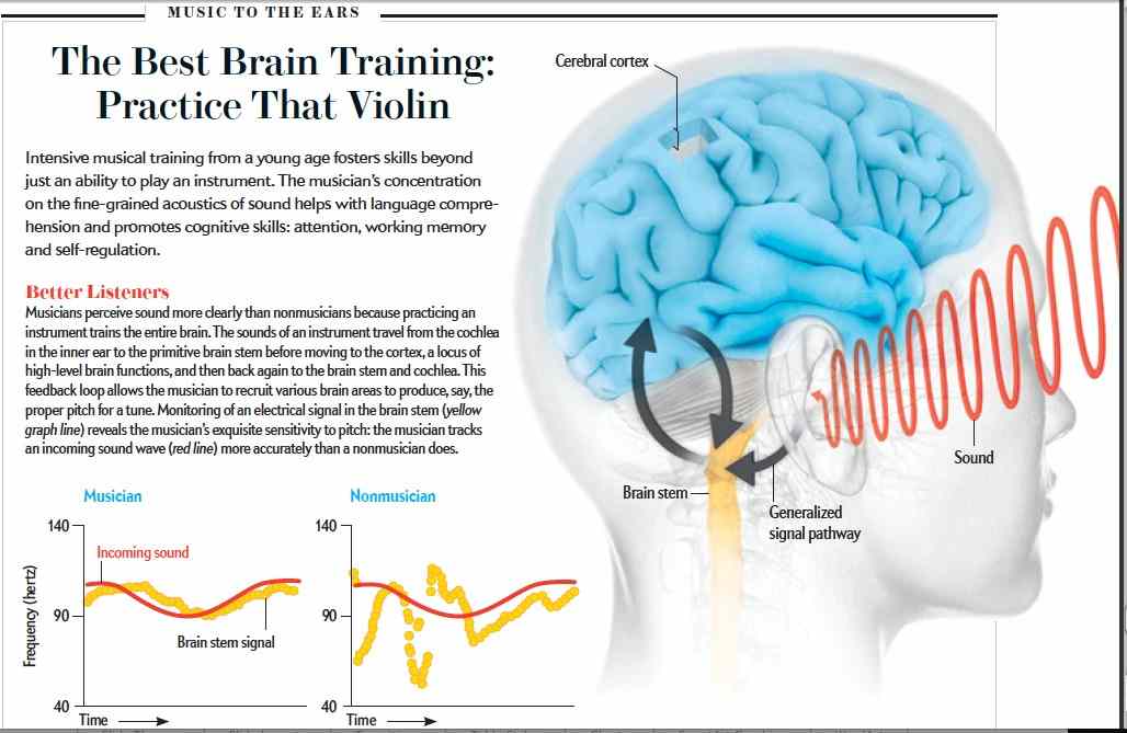 Brain sound. Звук и мозг. Звук Brain. Тест Brain Training. The Brain that.