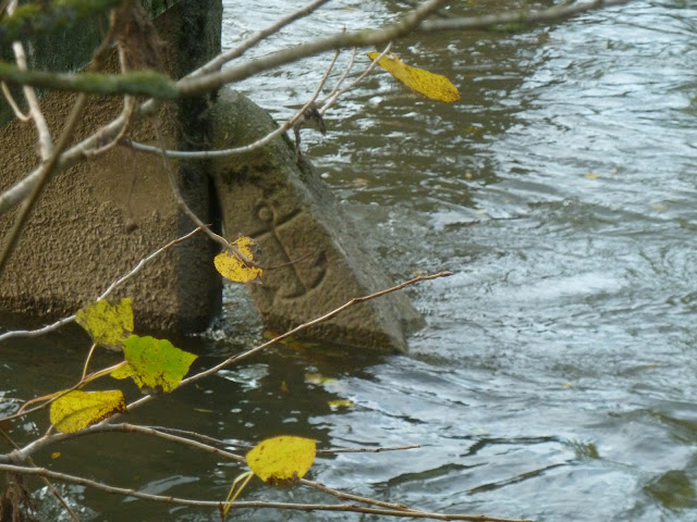 Remake de la Randonnée de Printemps de Combs-la-Ville. Vendredi 08 novembre 2019. P1110920