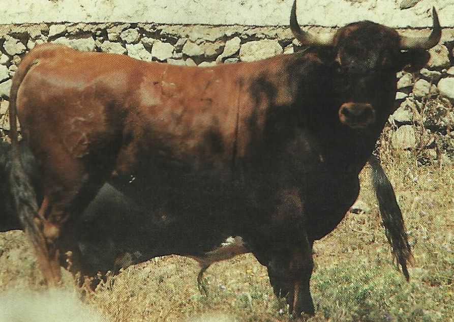 Blanco y Oro: * Pelajes del toro (Capítulo I)