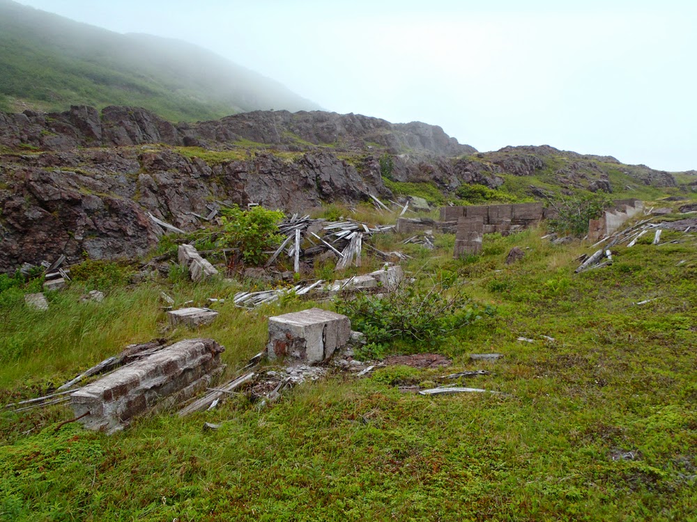 My Newfoundland Kayak Experience Looking for the Stones of Stones Cove