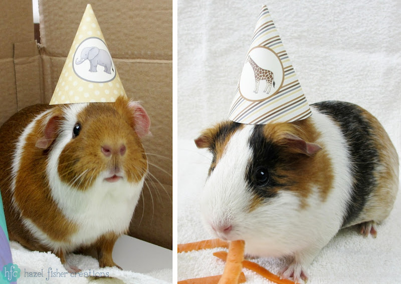 Hazel Fisher Creations Celebrating My Etsy Shop Anniversary Guinea