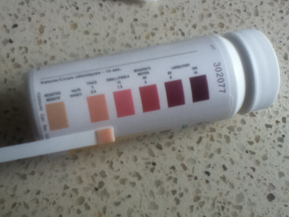 Bad Headache Low Carb Diet Bad Headache