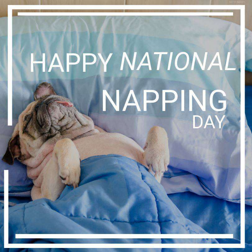National Napping Day Wishes Images Whatsapp Images