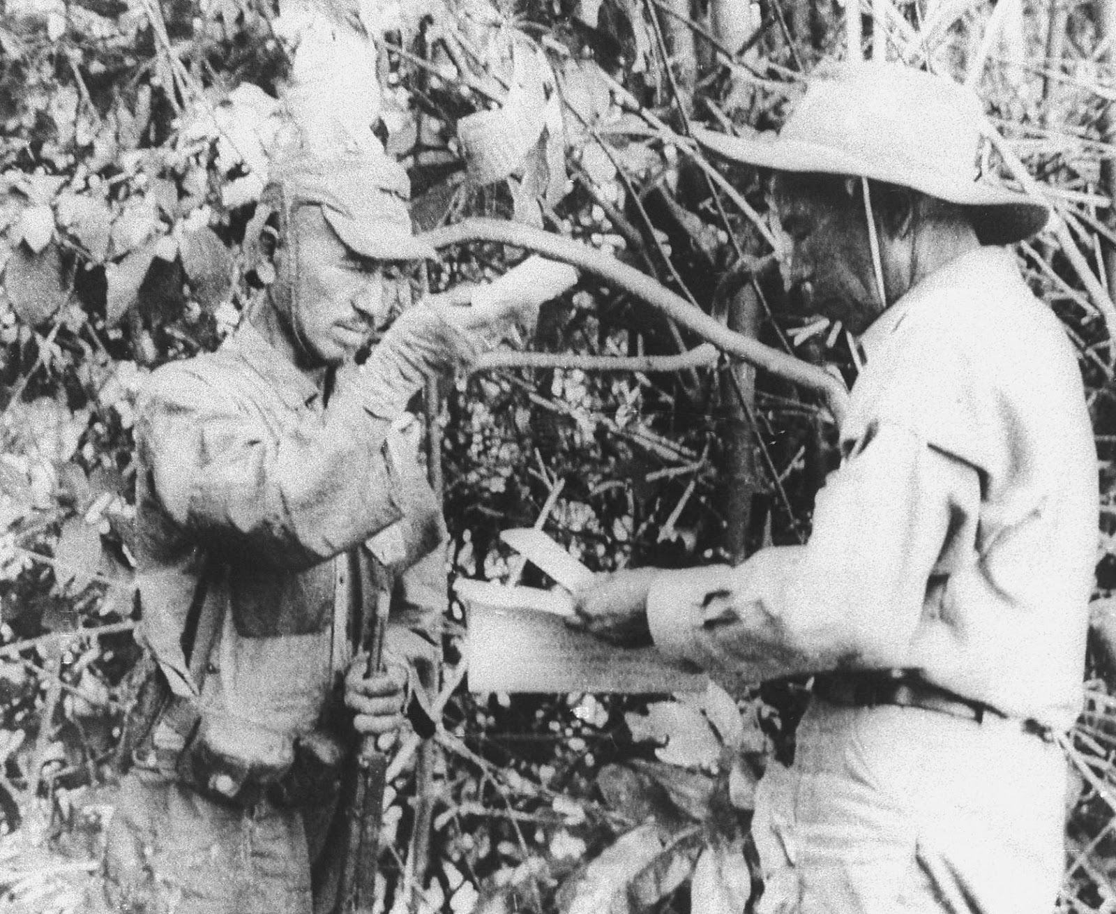 судзуки и онода. война против японии советская 1945. онода японский лейтенант. японская армия ww2. японцы сдаются.
