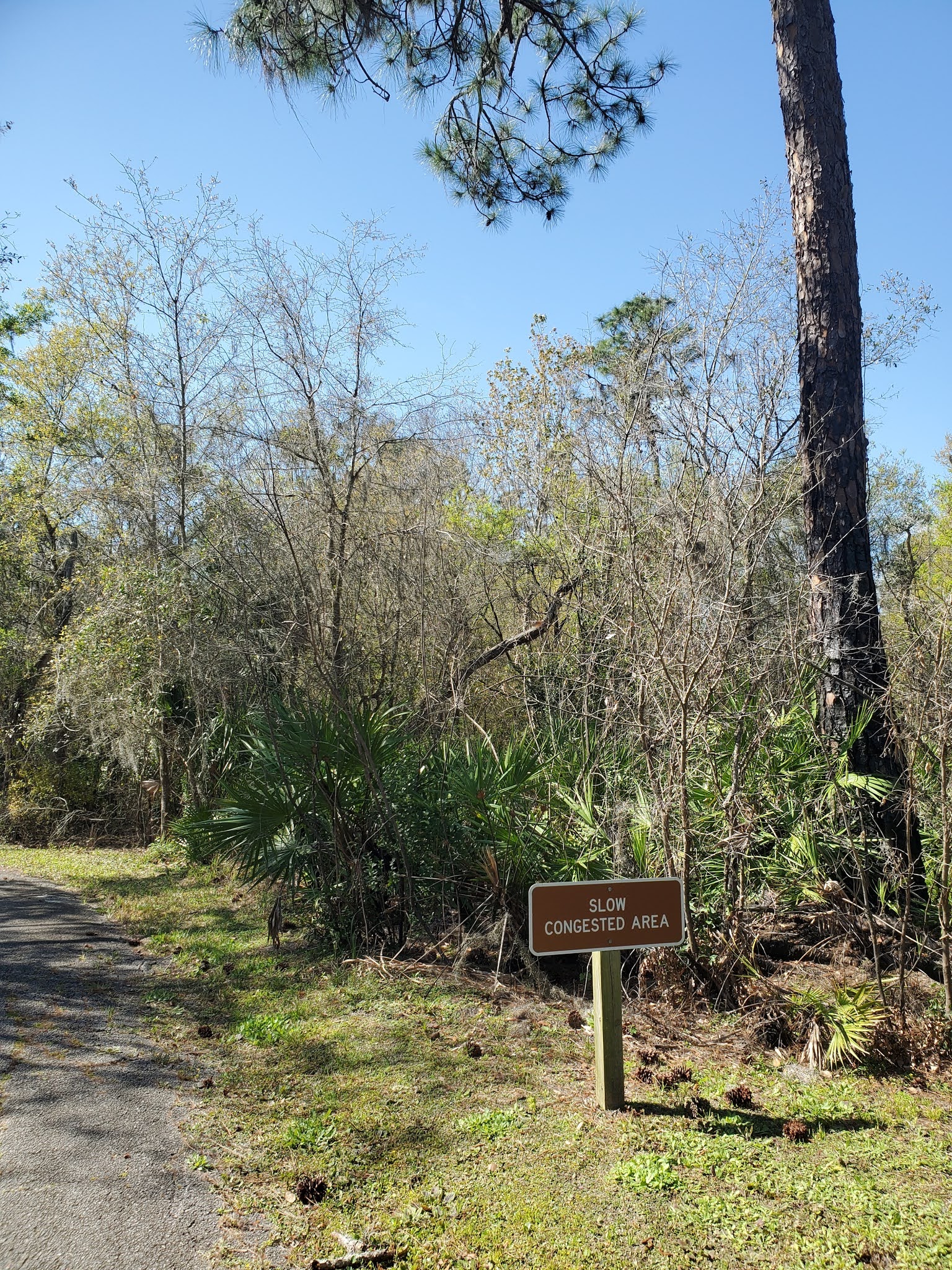 R and R travels Paynes Creek Historic State Park