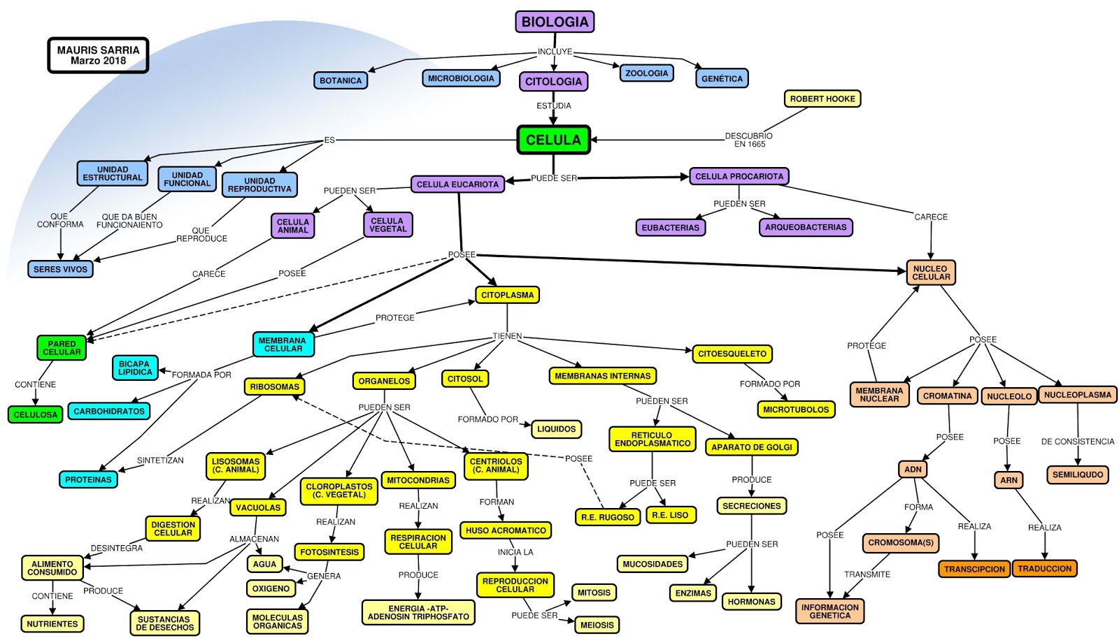 mapa conceptual biologia 7º año