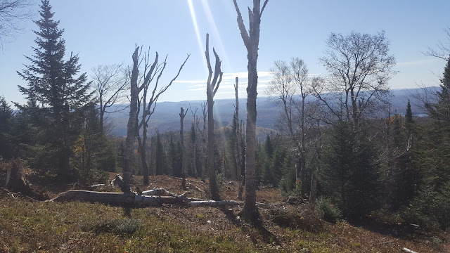 Point de vue à partir du sentier pour le mont Tremblant