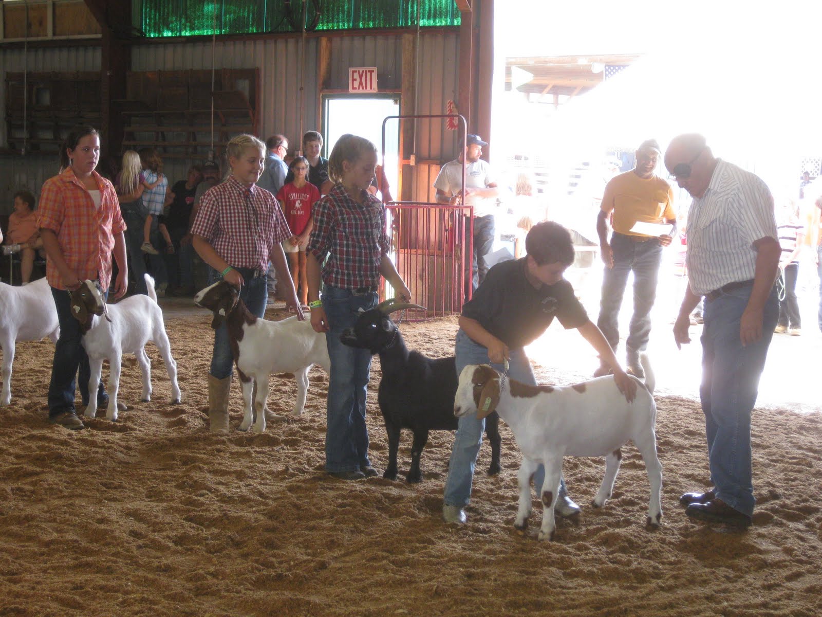 On The Pond Farm Meat Goat Showmanship
