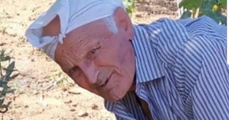 PARTINICO. SPEZZA LA SCHIENA AL CANE CON UNA PALA.