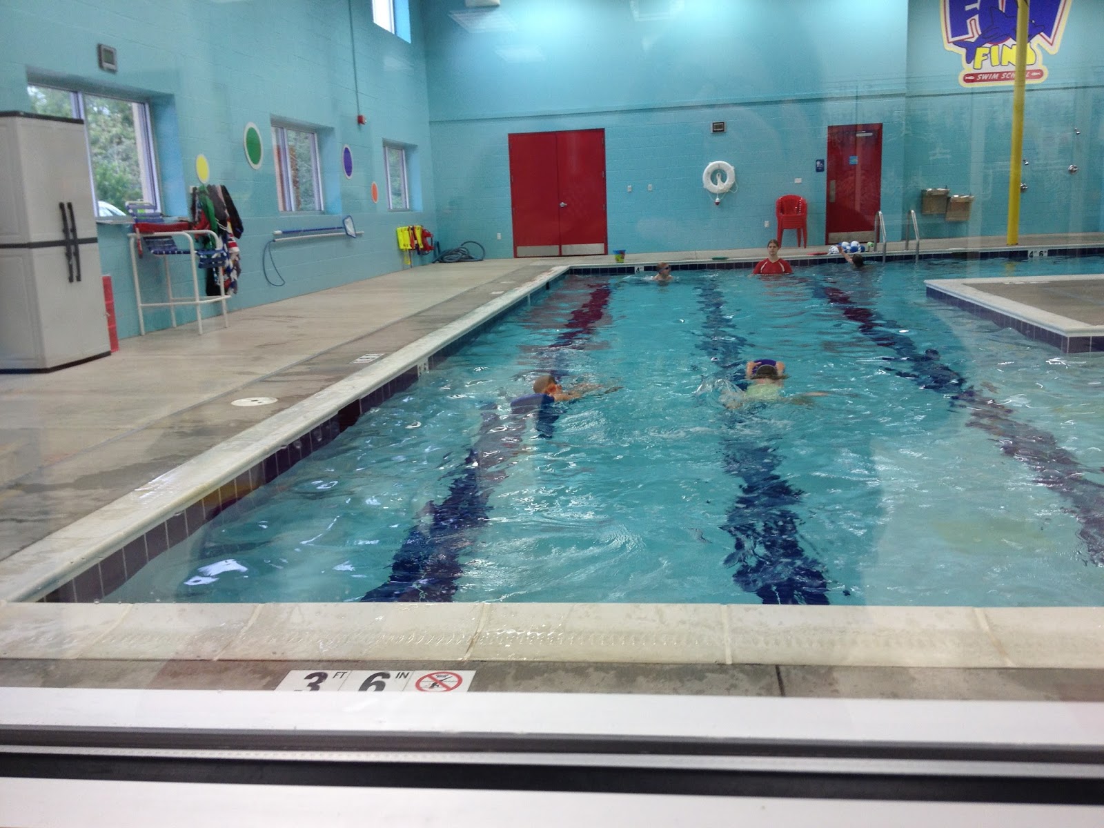 The Shupeville Zoo: Pink - Pandas - Pools