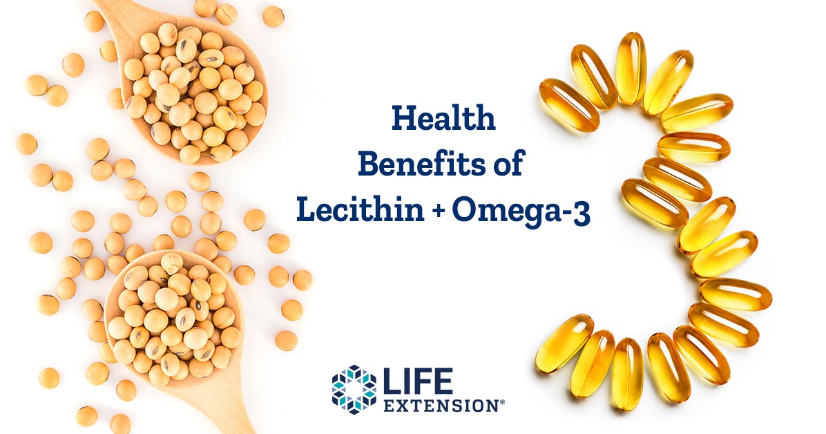 The Life Extension Blog Does Lecithin Work with Omega3 to Support