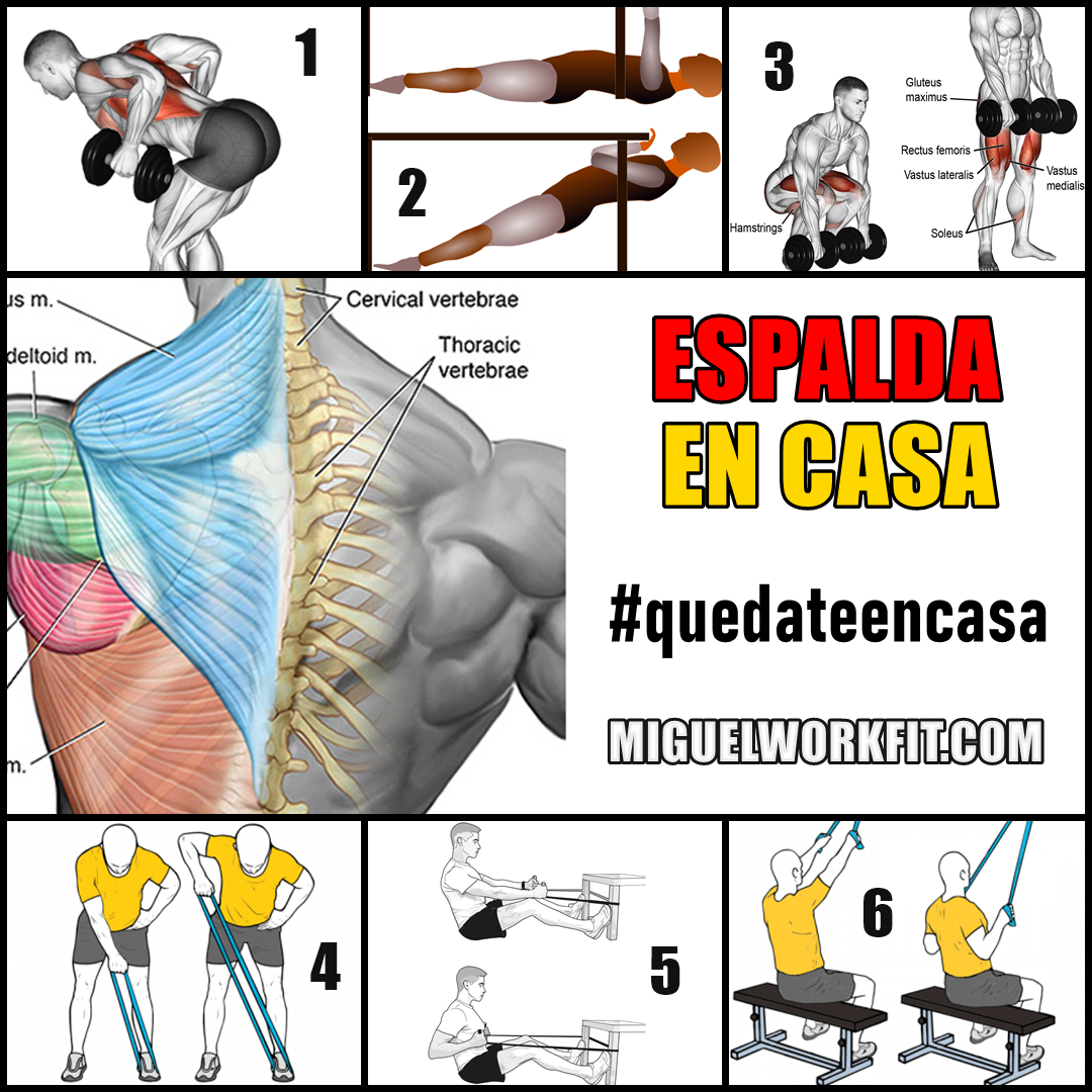 Rutina de ejercicios para espalda en casa - Ejercicios En Casa